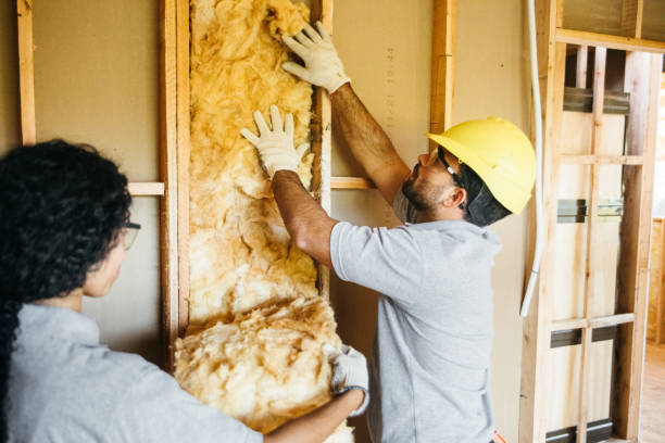 Best Insulation for New Construction  in Western Lake, TX